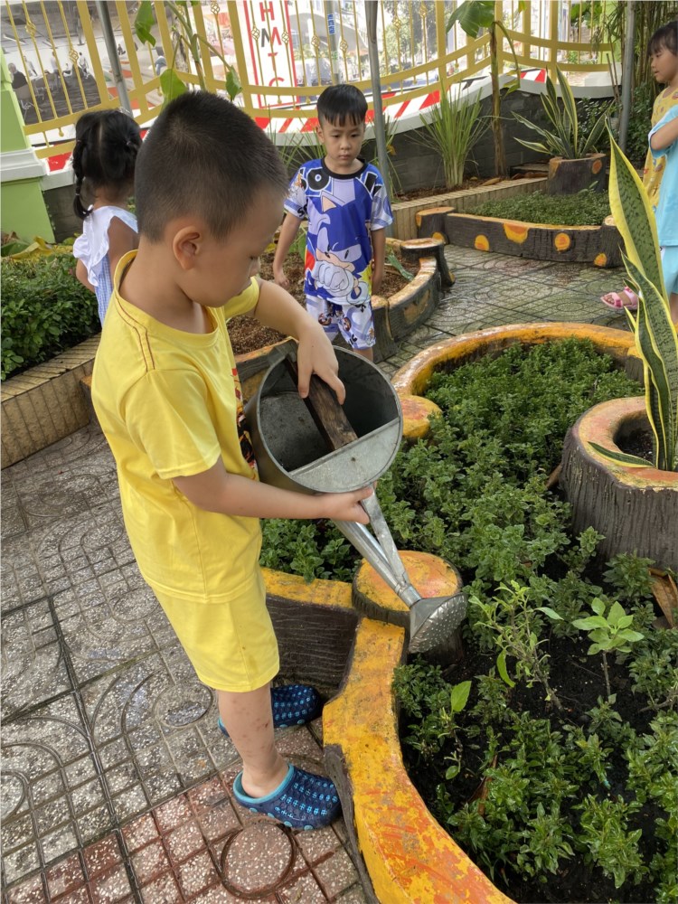 Ảnh đại diện